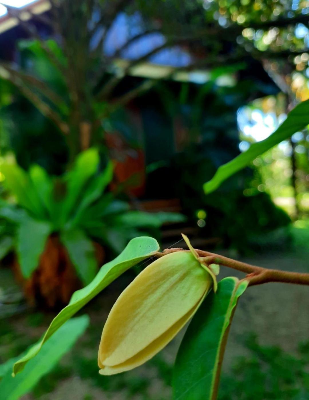 Tuaprodhome Khao Lak Quarto foto