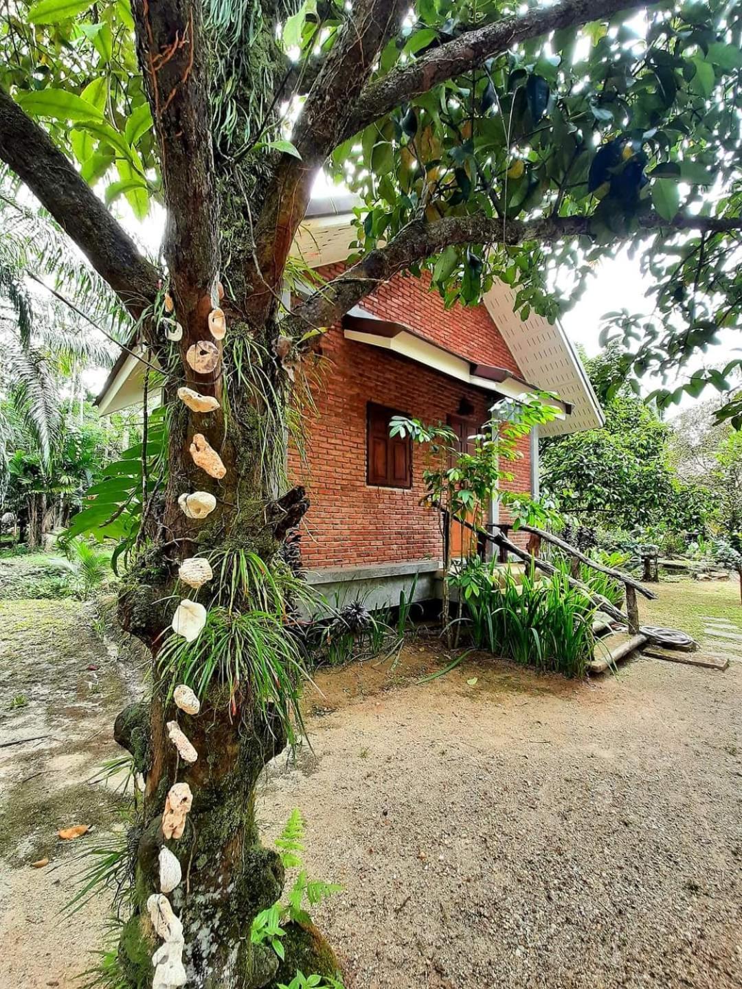 Tuaprodhome Khao Lak Quarto foto