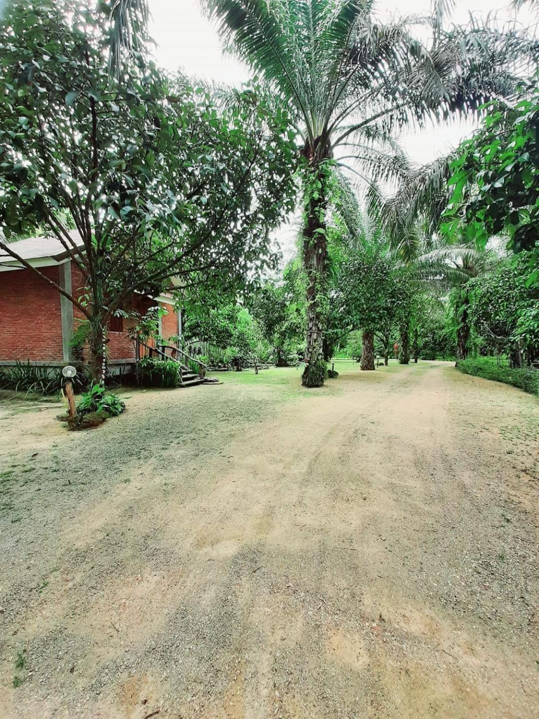 Tuaprodhome Khao Lak Quarto foto